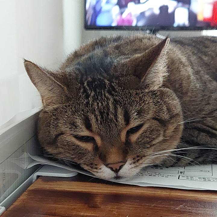 1c125b3d 38fd 49e8 928f 7a4a8d2d44e0 1660632424005