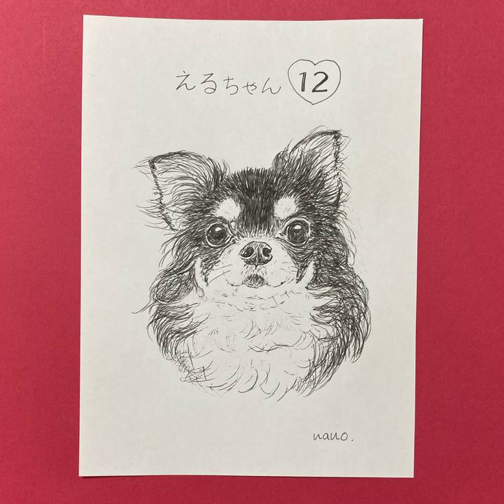 1c12845c 5140 4109 9274 9d00c7814440 1651821720627