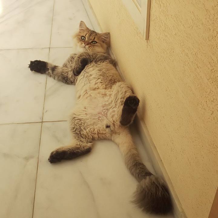 1c128f36 23a1 46fa 8eab db3fe106fd1b 1567394063526