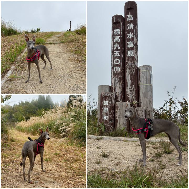 1c12e2c7 9733 49a4 8076 c75a04f4b2e0 1761302238700