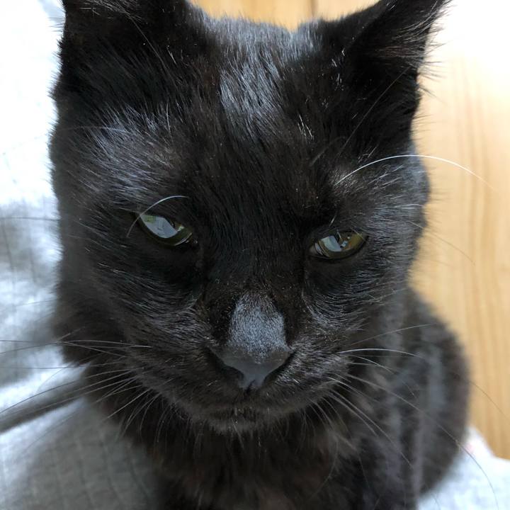 1c12fb6c 76be 403c b5c6 d3669b5bed9e 1594990169674