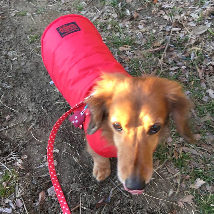 1c12fde7 52e3 4816 b0f2 1fd15094cb20 1517048677500