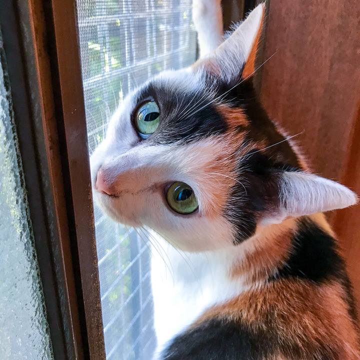 1c1312a4 bbc4 47cc 9305 e5af07859aa4 1509114402722