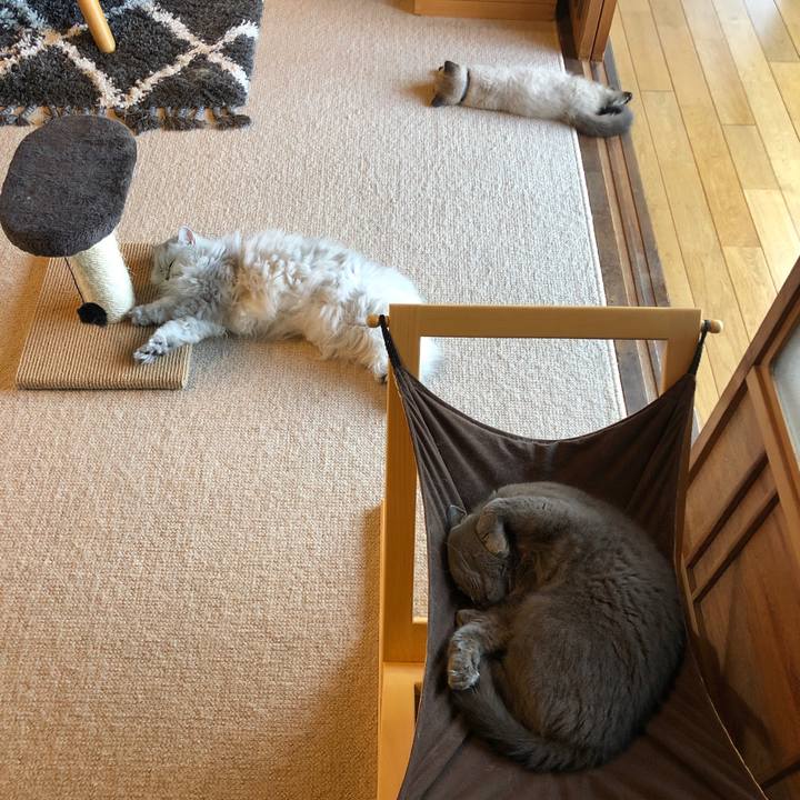 1c1314c3 8339 4b01 bc1d a97a92a4ba82 1588390317525