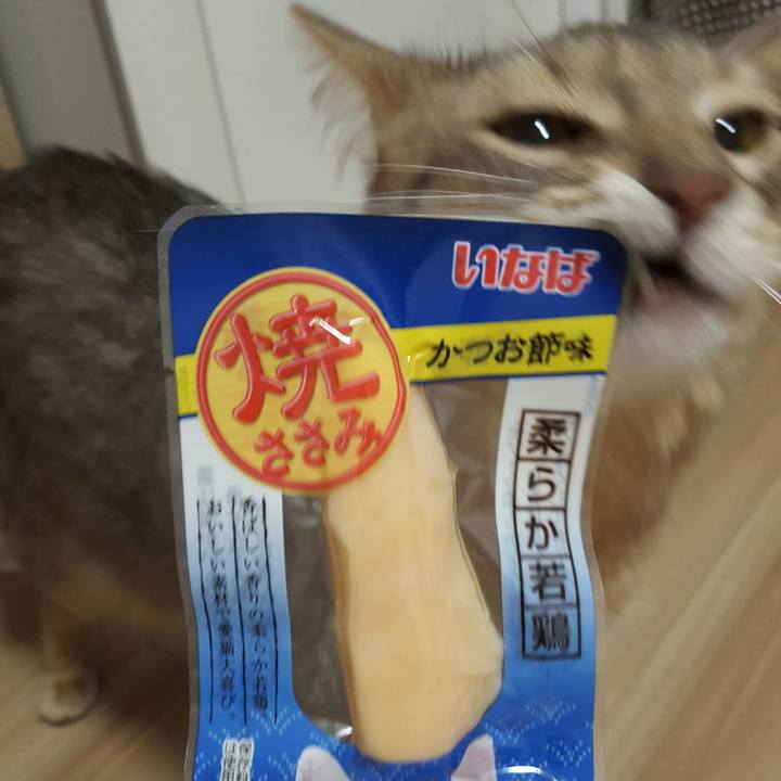 1c133cc0 0457 48c8 89bc e5e2e0901d7a 1519297990742