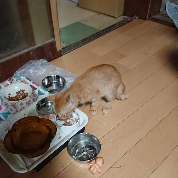 1c138b39 2481 492c a72a 14915f4806da 1632217216661