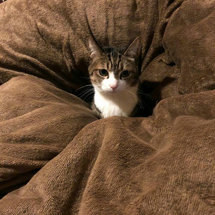 1c13c462 a7ef 43b8 a26b 7dd8ce2bae1c 1612143052138