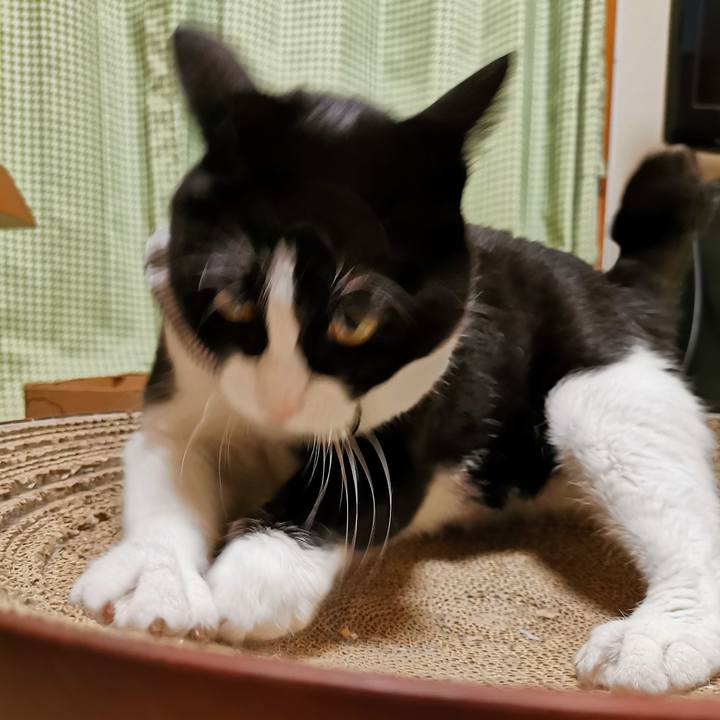 1c13e00f 4ae8 48ff a8eb adc9550a8aa8 1661228676120