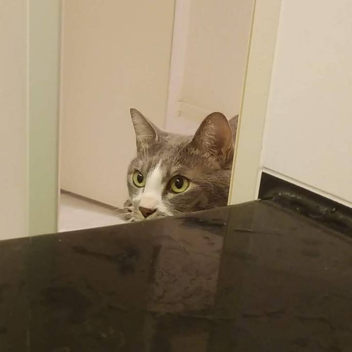 1c1405ce 94ff 4066 8060 dcb7d8bd53d8 1638352809762