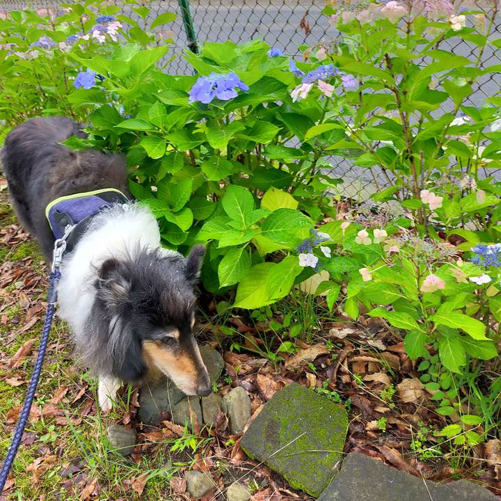 1c140aa8 86df 4a19 9410 db66fe7e55e5 1625664471249