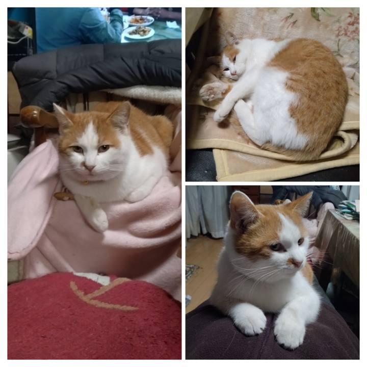 1c141a6d 9f9e 4868 a12e ff1c29bf23de 1767351346293