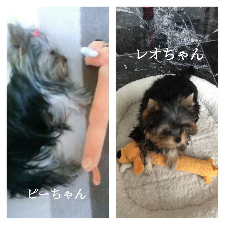 1c142b14 1240 4fc1 bbe5 56a446c11527 1589866061402