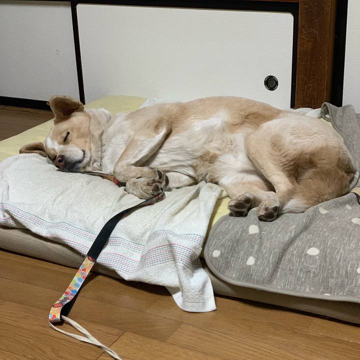 1c143384 4d5e 477c 8424 d37deab29e21 1550241843769