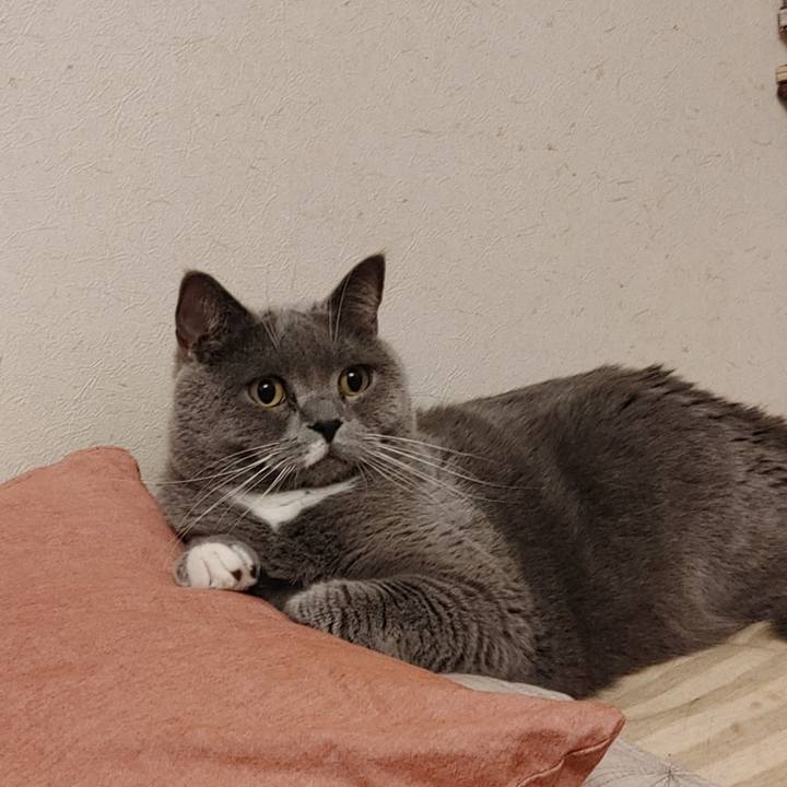 1c146f7b d21e 406e 9534 4f5ca3498dce 1616151495883