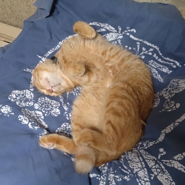 1c14949a c729 469b b3cc 994741822c2d 1757492176585