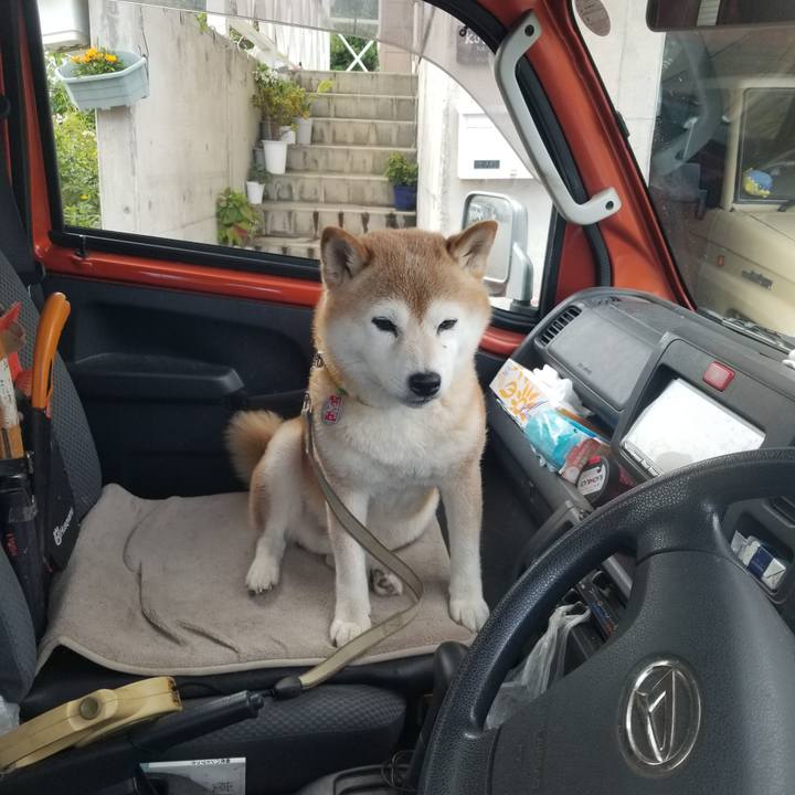 1c14c2b3 7866 4d0d a107 eb0fc3c49710 1692858907813