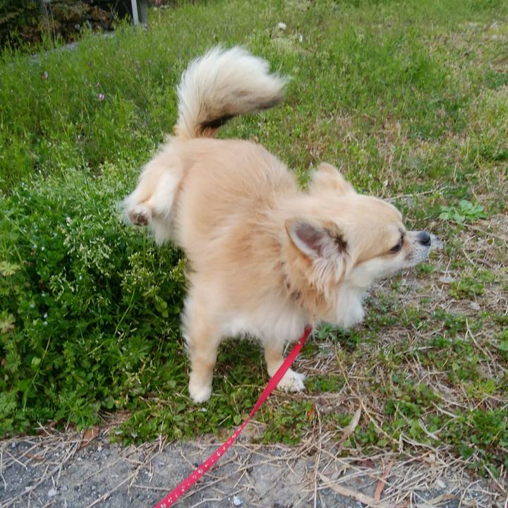 1c14ea19 4ee5 4160 b0ed d002e0b1cbfd 1522056888409