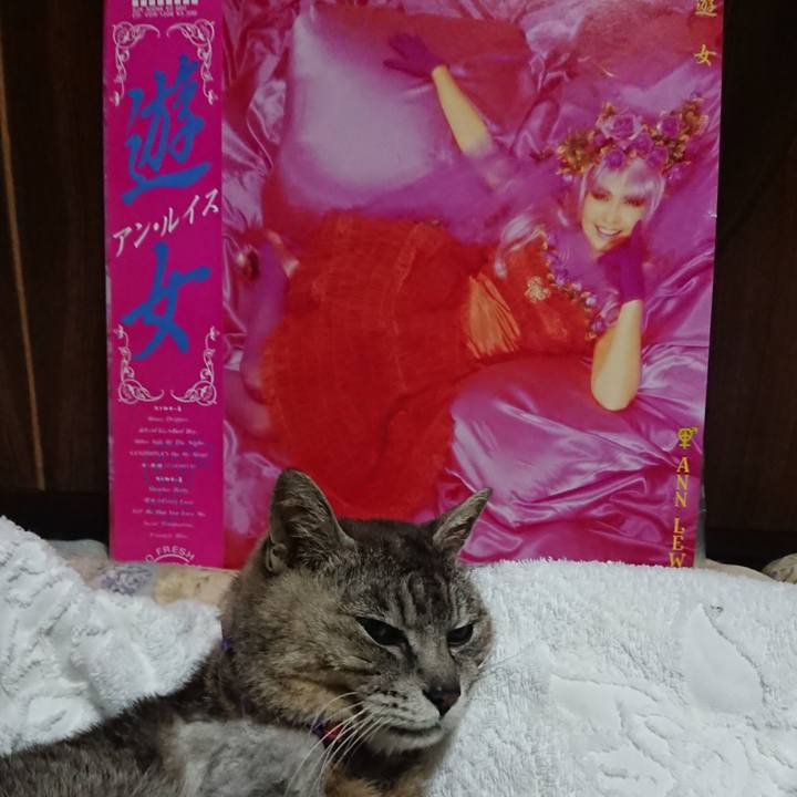 1c14ff5c 6804 480b 843c aafd304f309c 1592395845067