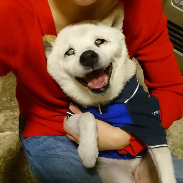 1c152a74 b942 457b b6a1 fd62c88ea838 1511269394436