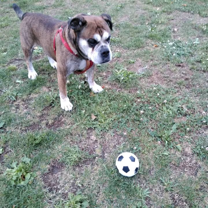 1c152ca8 b914 4c7e b54e eb1fa1306239 1565490036569