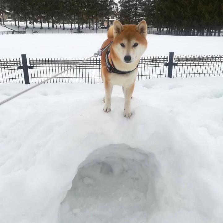 1c155b58 84a0 4b1b 86e9 578241db247b 1583634727862