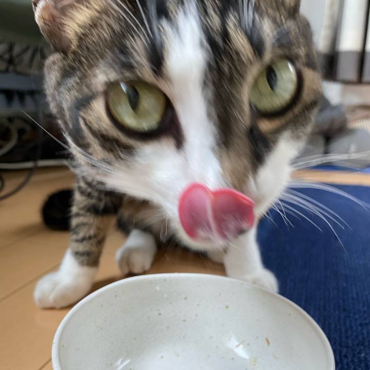 1c156b09 661c 40da baf2 17ad4281e9be 1657944997352