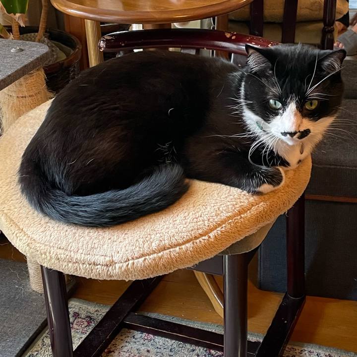 1c1582ef afd1 4d57 bf7e 334e69998e88 1745717980964