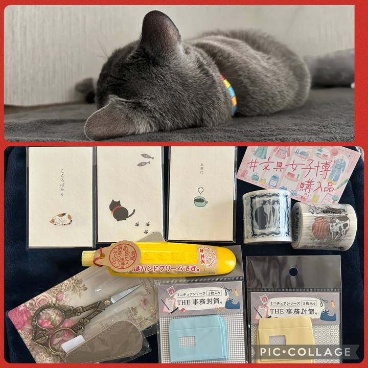 1c158c8f 2a4d 47c6 b580 9291326bbef0 1766113177507