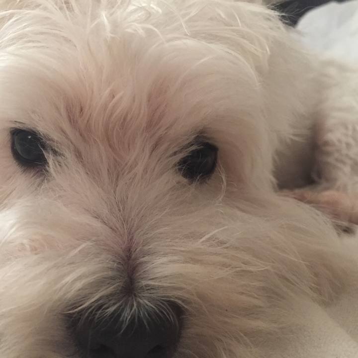 1c15bd69 02fe 4289 ba2e a2023cb5e06e 1531148252732