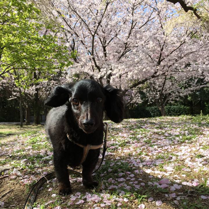 1c15bf90 03a3 4701 9162 d47423cc92f1 1712452941554