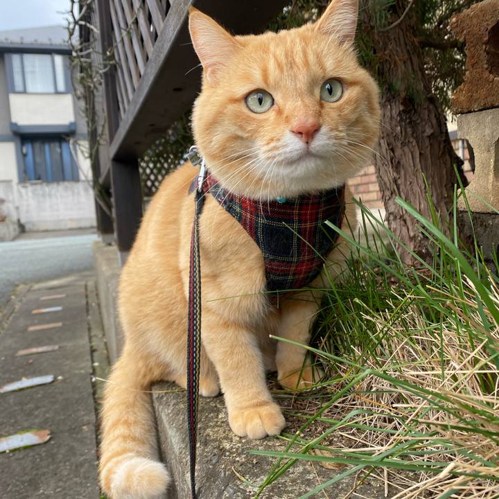 1c161c71 5474 4e25 9daf dbf85a4d7627 1607661693688