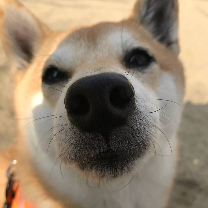 1c166970 5e81 4f72 9b40 e29e89e5260c 1516345681449