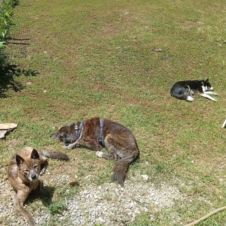 1c16aebb 7a9c 4c3b 9c9d 6f3d85a4ece8 1750472613811