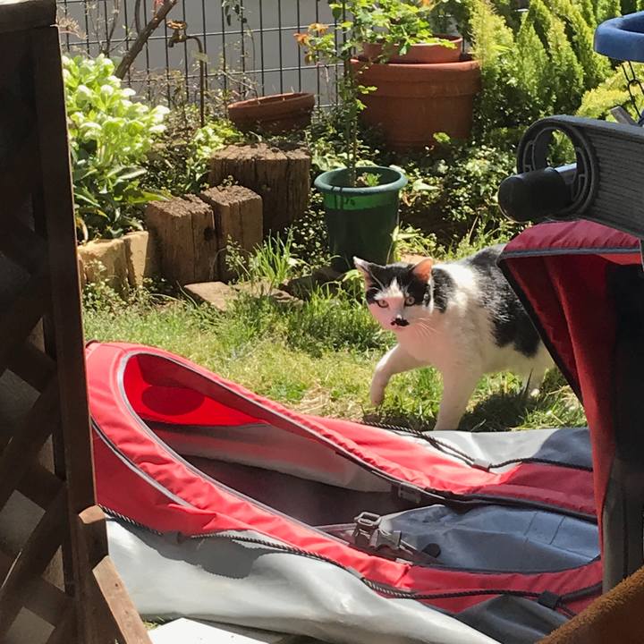 1c16b571 5075 4436 8f5d c9ee7fd2c186 1554781576147