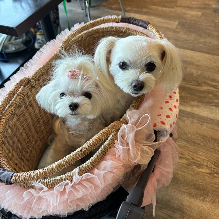 1c16d59c b087 4103 87c6 e3f62a4c6543 1758687338351