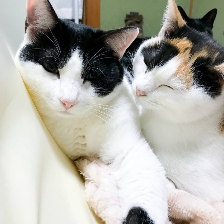 1c17110e 3af2 4f05 a8ce 457886bbe9be 1514626062795