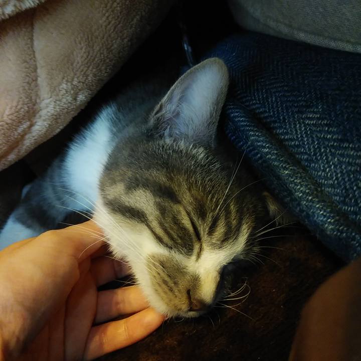 1c173cd7 d0fc 4fba a85c 9977262de280 1574751842342