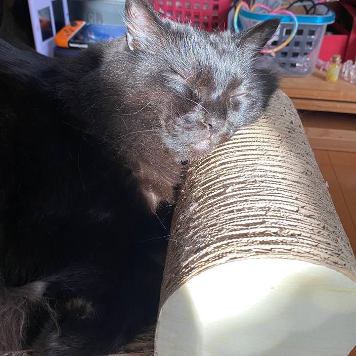 1c178311 edd8 4405 893e d19ceb541ef9 1620738578256