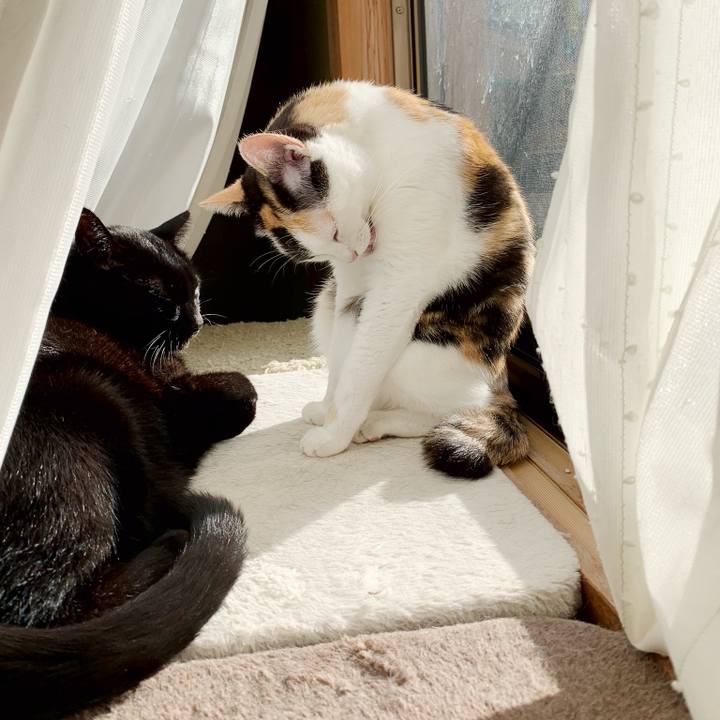 1c17c5a8 b962 4673 953c 4d7aa59551e9 1541903046650