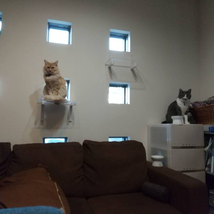 1c17d4f8 0453 4760 b3d2 5b53d71048bc 1641943854456