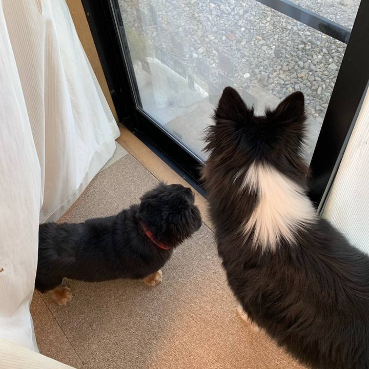 1c17dce1 5afd 497c a6c6 53cca65da4d8 1547073189029