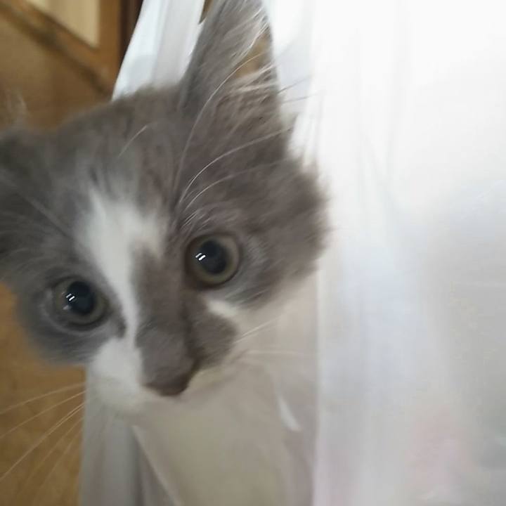 1c17eb6c e4cc 4cf2 b103 8b3b8e01063f 1562295322777