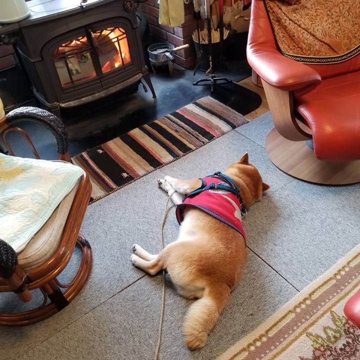 1c180960 aeb5 4efd a173 17c321324a04 1552518822685