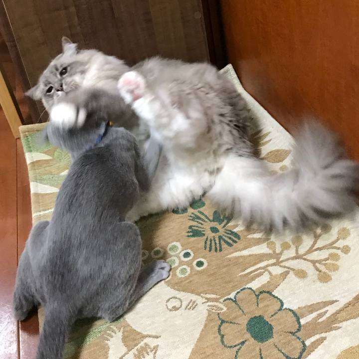 1c182d46 f4d2 4450 8114 990e0e2502dd 1508992390203