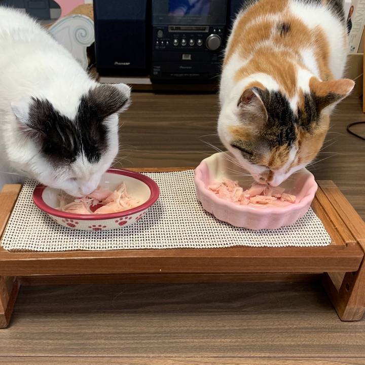 1c188912 e898 49d4 936a e272b3ec4861 1652815300136