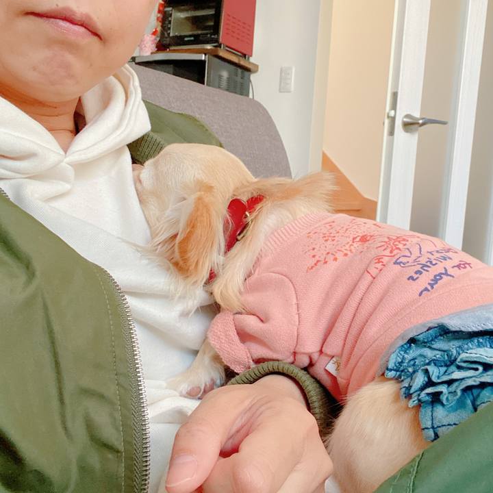 1c189782 66e8 403e 92fd d24ac396297d 1647167209089