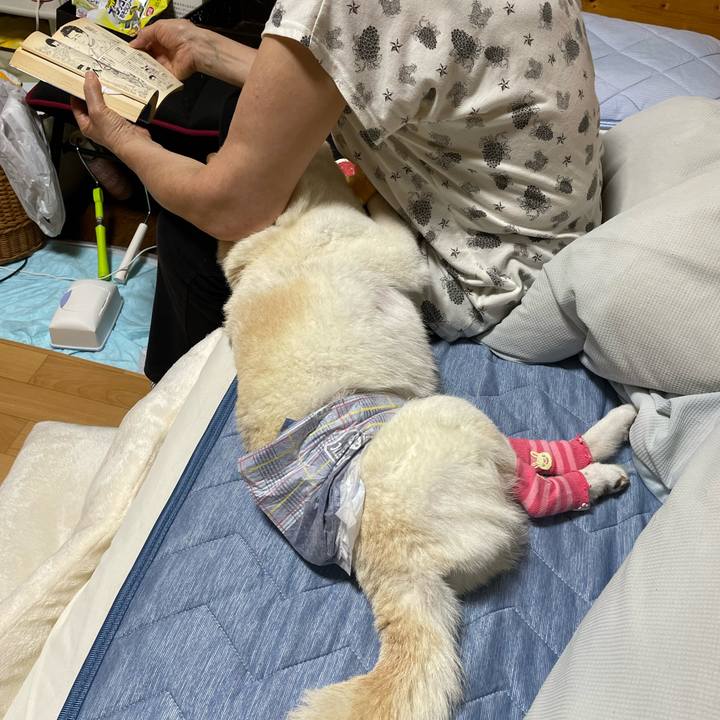 1c18bfa9 df93 485f 8546 dfde8d462bea 1662644959609