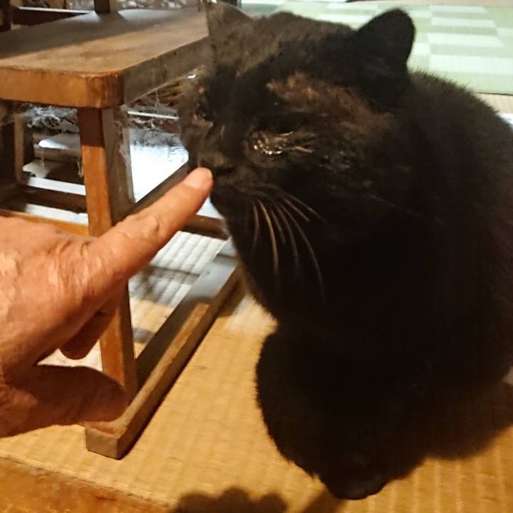 1c18fd02 d27c 4f74 a130 959ace2dae40 1618061910817