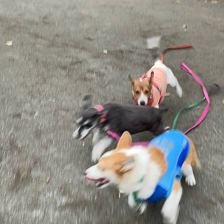 1c194bb1 7bdc 433d 9971 6e537d30ffee 1699701224036