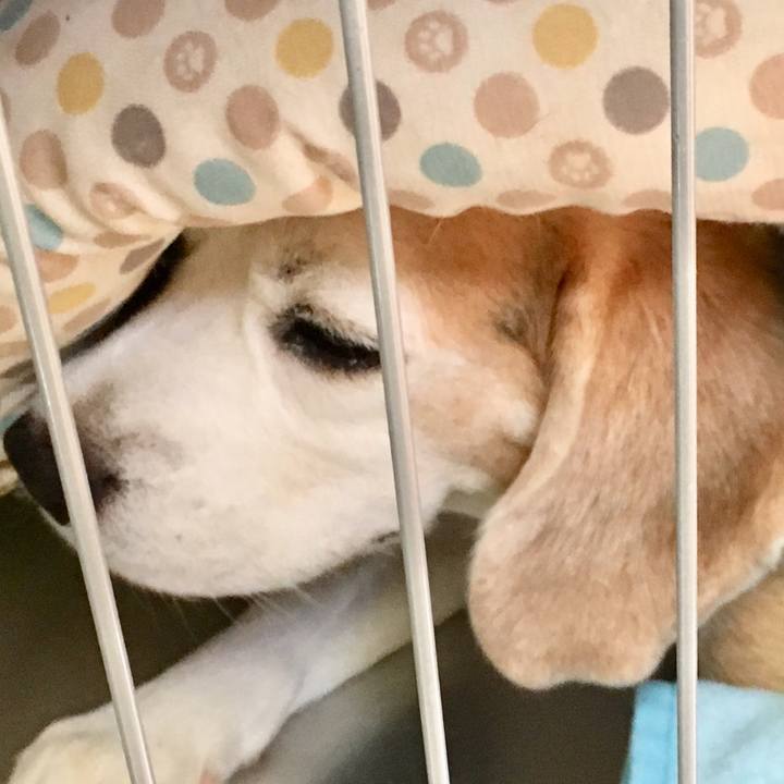 1c195cb2 6d7a 4e0f a48f 5e9fba83c5af 1535242651161